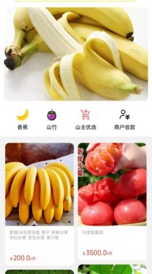 天蕉云果通用版图3