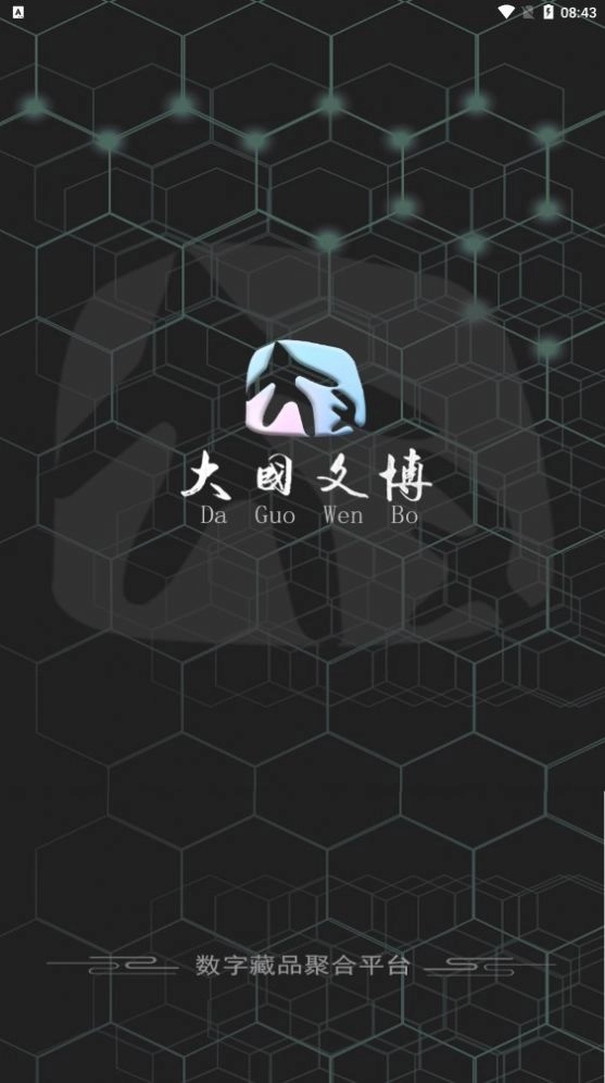 大国文博无广告版图2