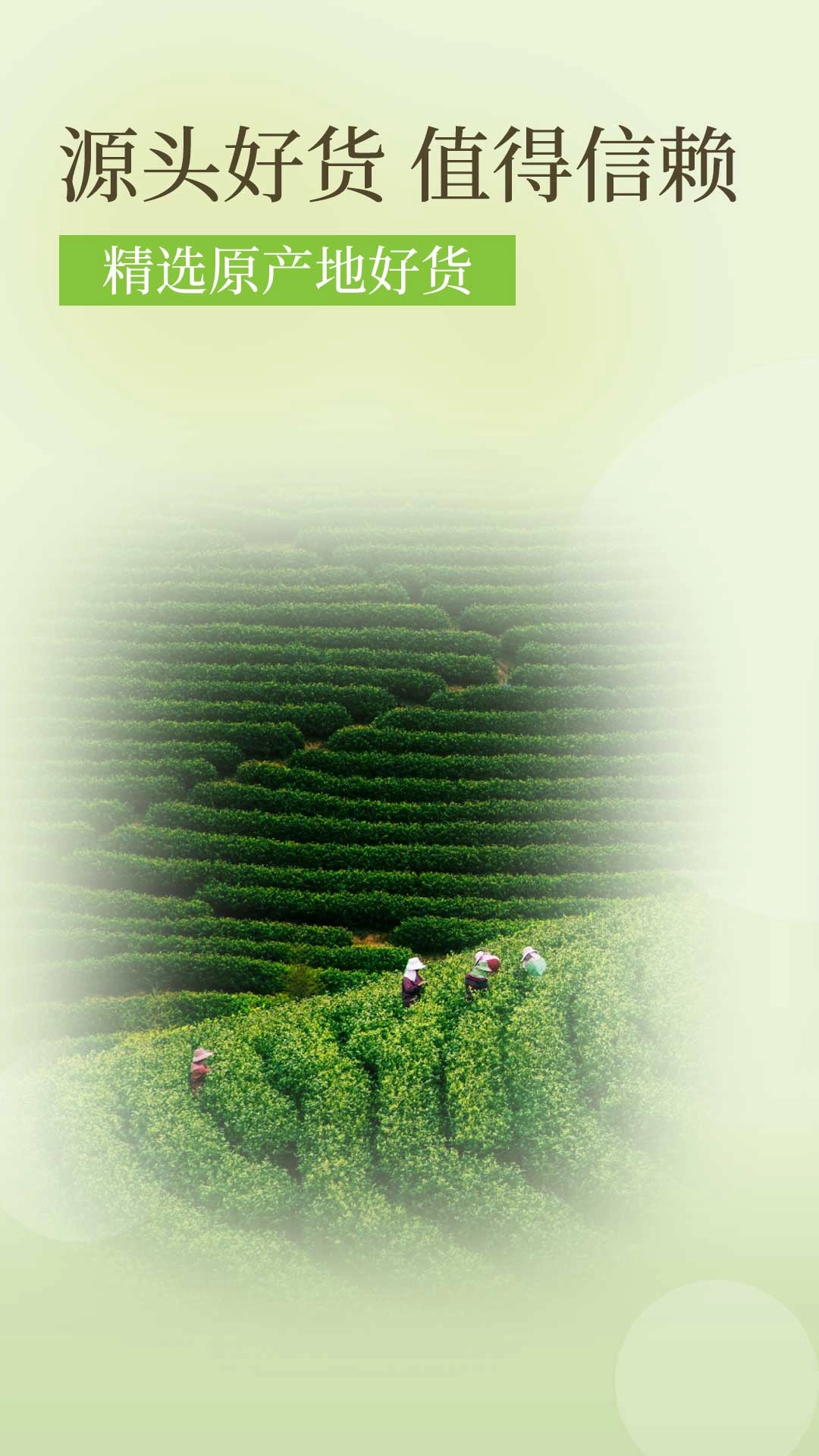 降三高莓茶手机最新版图2