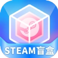 steam盲盒直装版