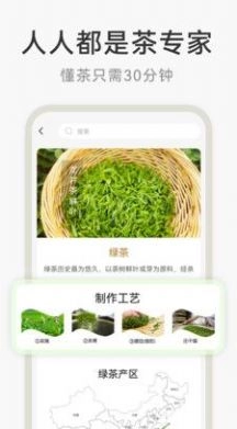 茶秘书官方正版图2