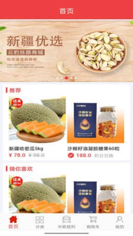 云豹丝路官方正版图1