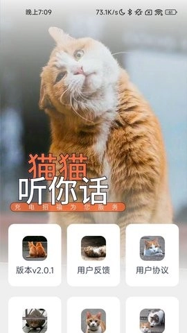 充电招福安卓直装版图3