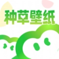 种草壁纸手机版
