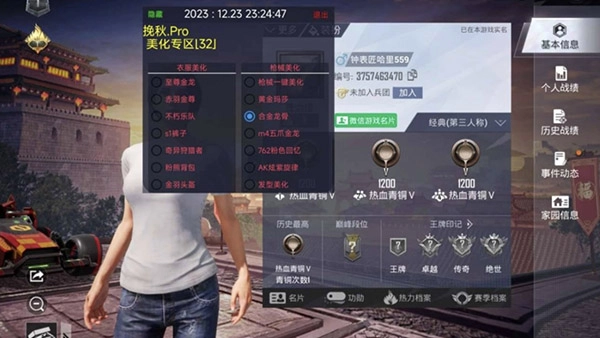 挽秋Pro框架直装版