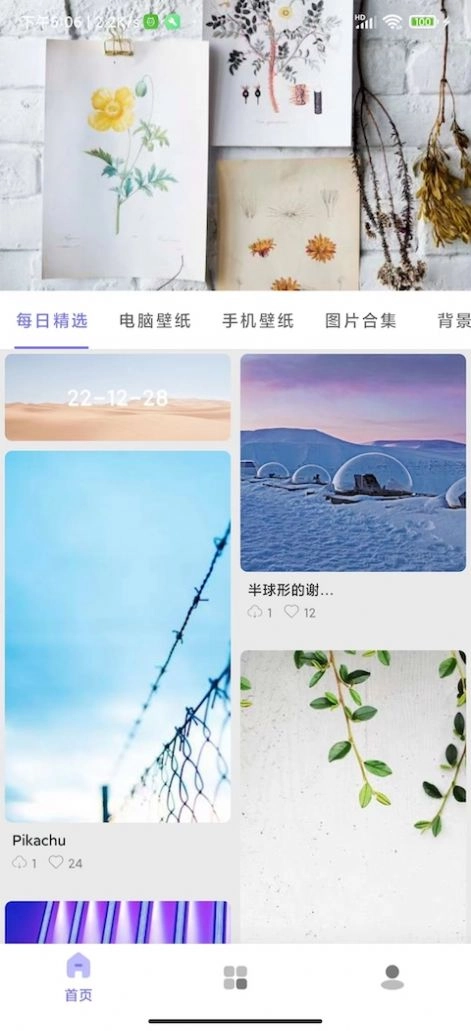 派上壁纸手机免费版图3