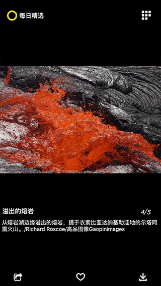每日精选手机免费版图1