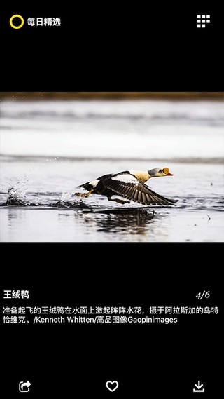 每日精选手机免费版图2