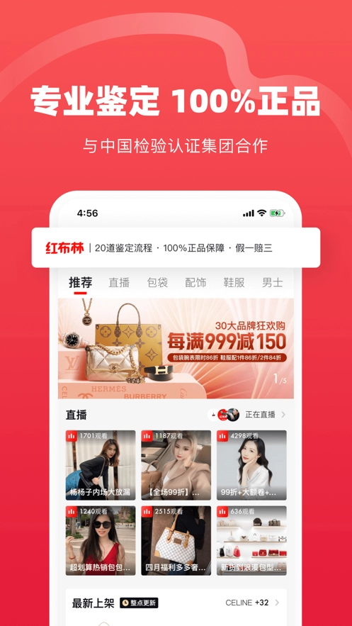 红布林免费原版图3