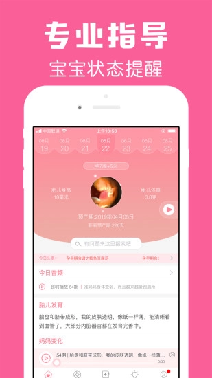 怀孕管家官方版图1