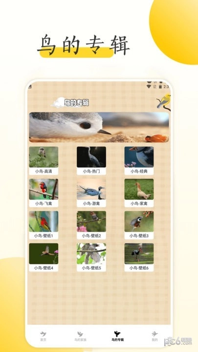 小鸟壁纸大全手机免费版图1