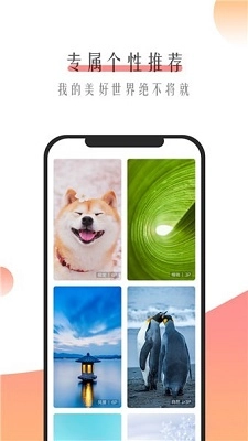 米柚壁纸免费原版图1