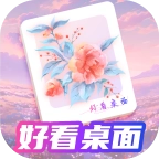好看桌面手机免费版