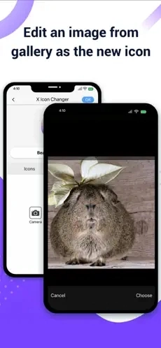 xiconchanger汉化版图2