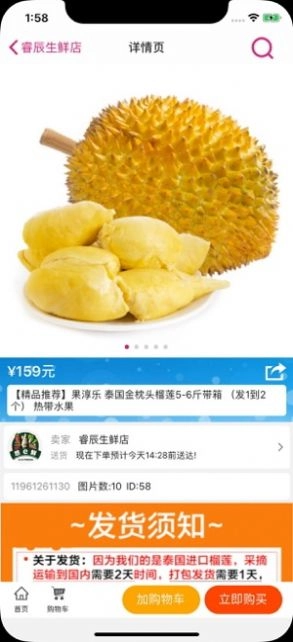 速猫手机版图2