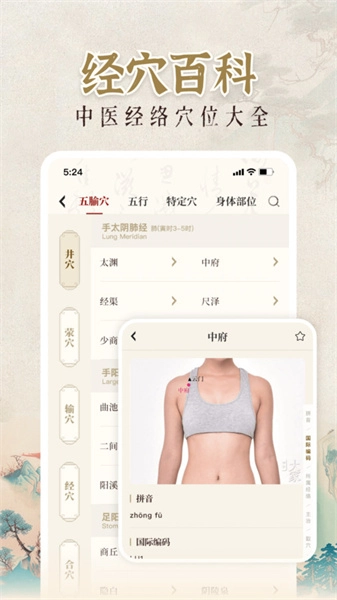 中医大全汇编安卓官方版图5