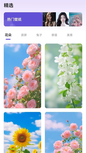 馏馏桌面组件王官方最新版图3
