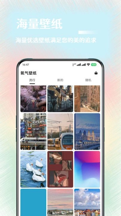 氧气壁纸官方最新版图3
