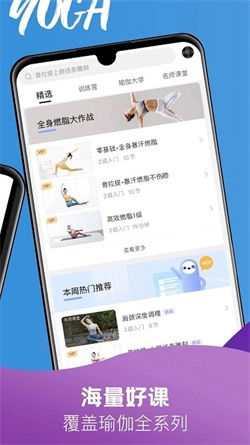每日瑜伽免vip版截图2