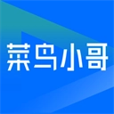 菜鸟小哥原版