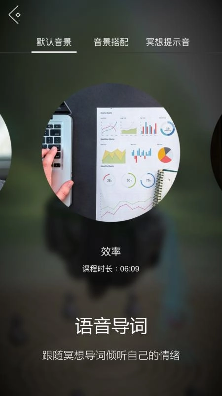 禅定花园2手机版图4