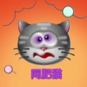 网肥猫手机正版