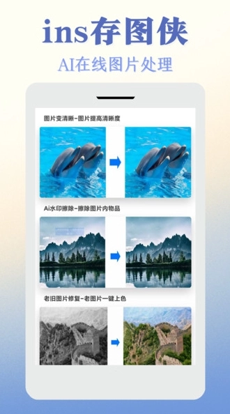 ins存图侠最新版图4