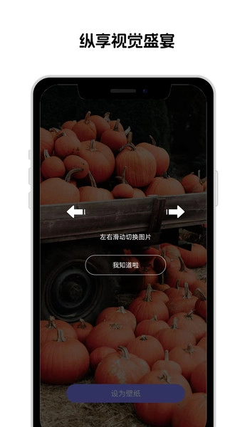 靓机壁纸安卓免费版图2