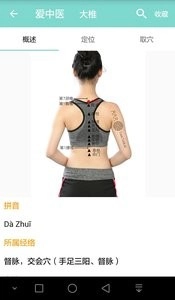 爱中医免费版图2