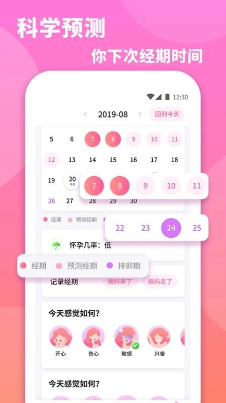 小月通用版图4