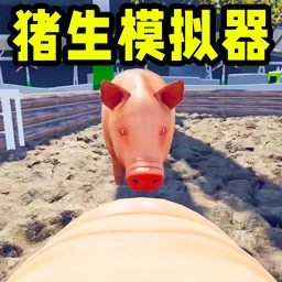 可爱小猪
