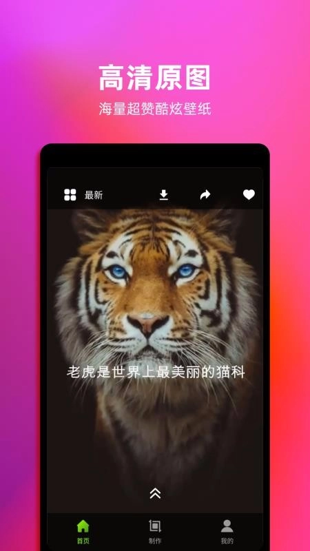 Live动态壁纸官方最新版图2
