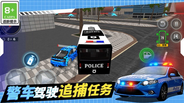 警察抓捕行动1