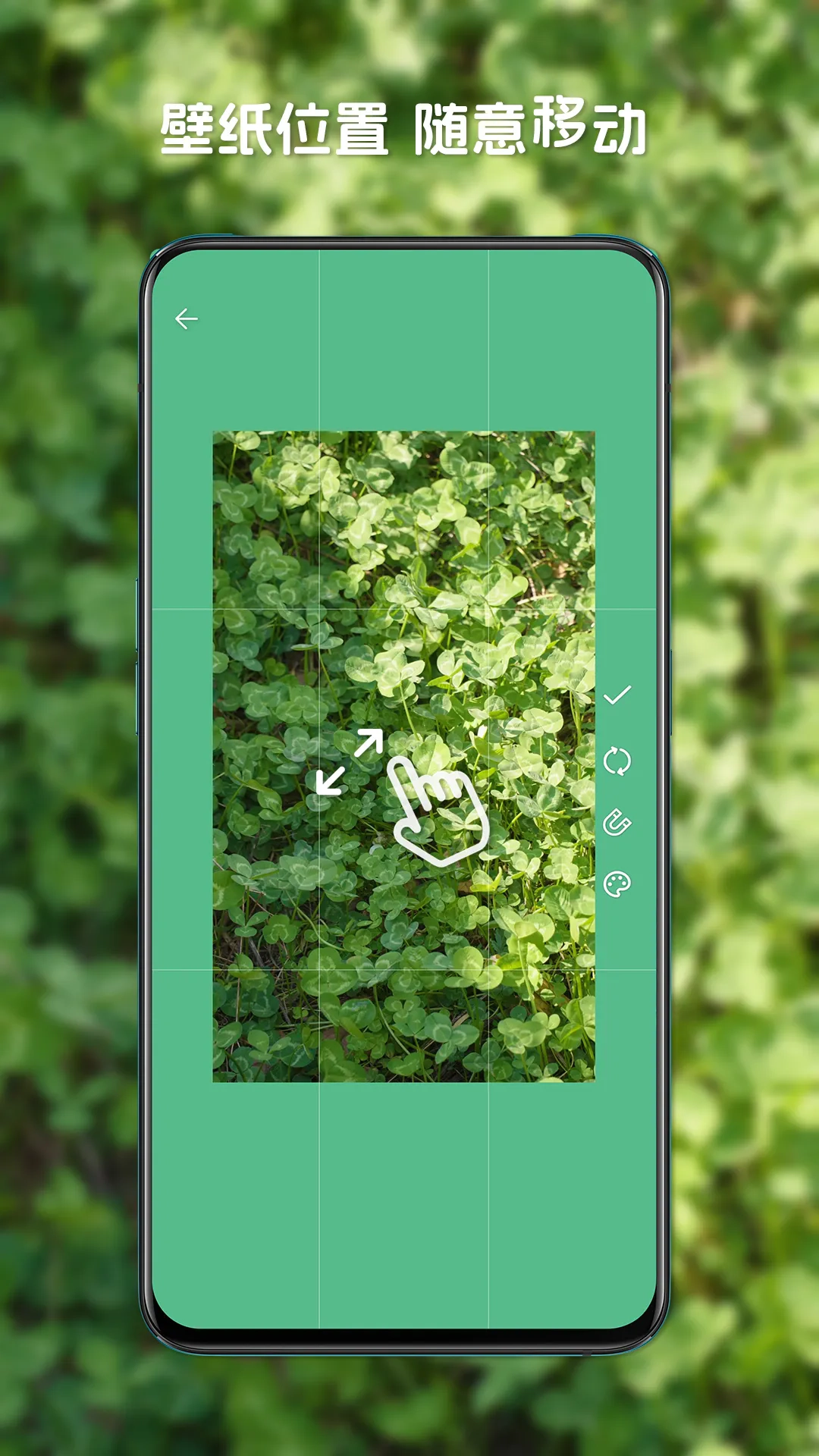 星咩视频壁纸无广告版