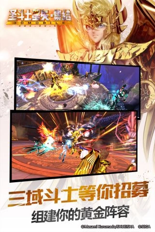 圣斗士星矢(5)
