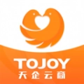 天企云商原版