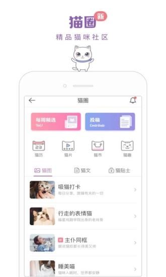 一日猫正版图1