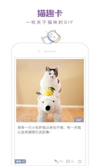 一日猫正版图5