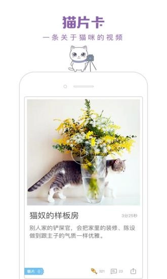 一日猫正版图3