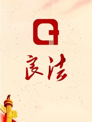 良法完整版下载