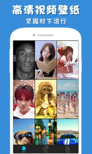 彩蛋视频壁纸官方正版图1