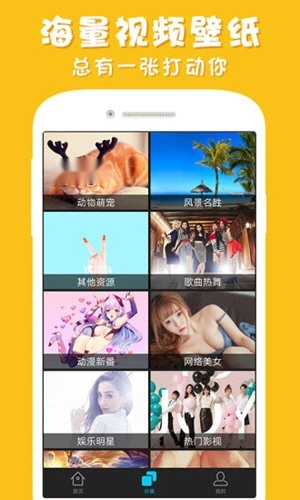 彩蛋视频壁纸官方正版图2