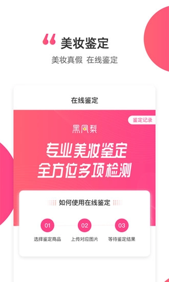 黑凤梨直装版图5
