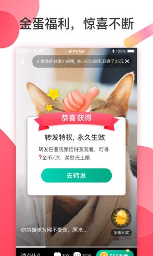 魔视手机版图3