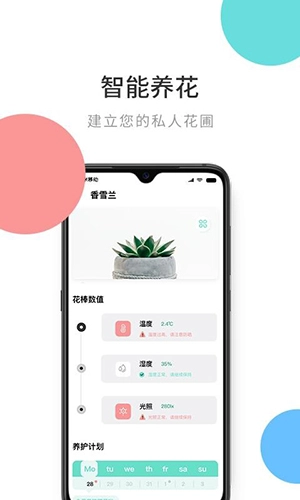 花将正版图2