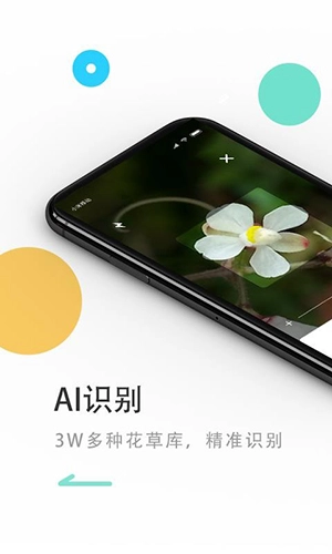 花将正版图3