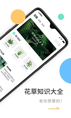 花将正版图1