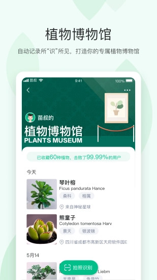 苗叔安卓版图5