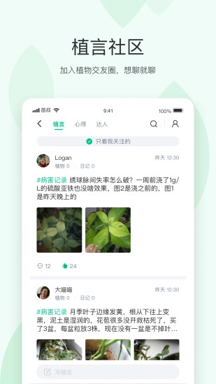 苗叔安卓版图3
