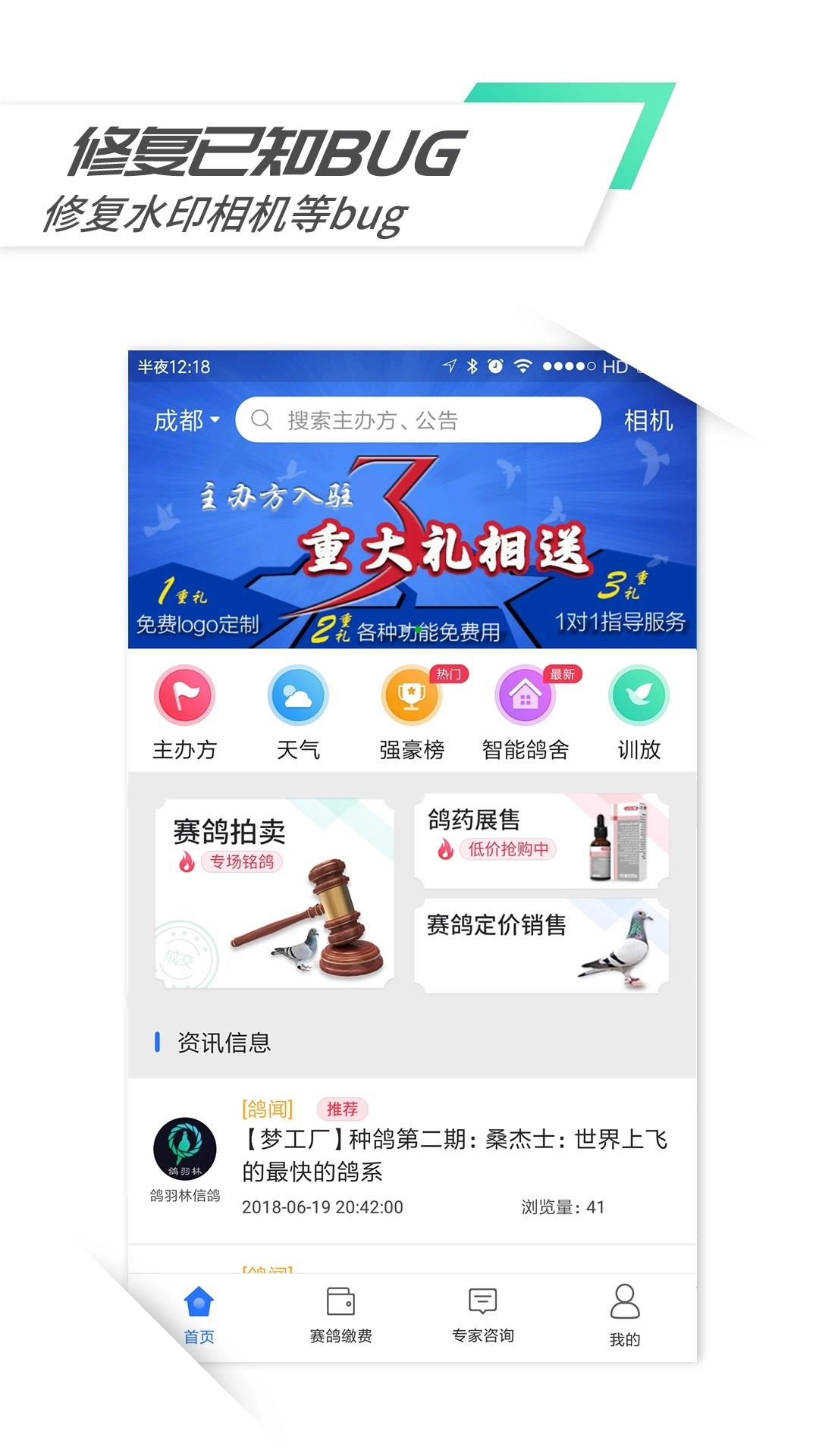 鸽羽林手机免费版图1